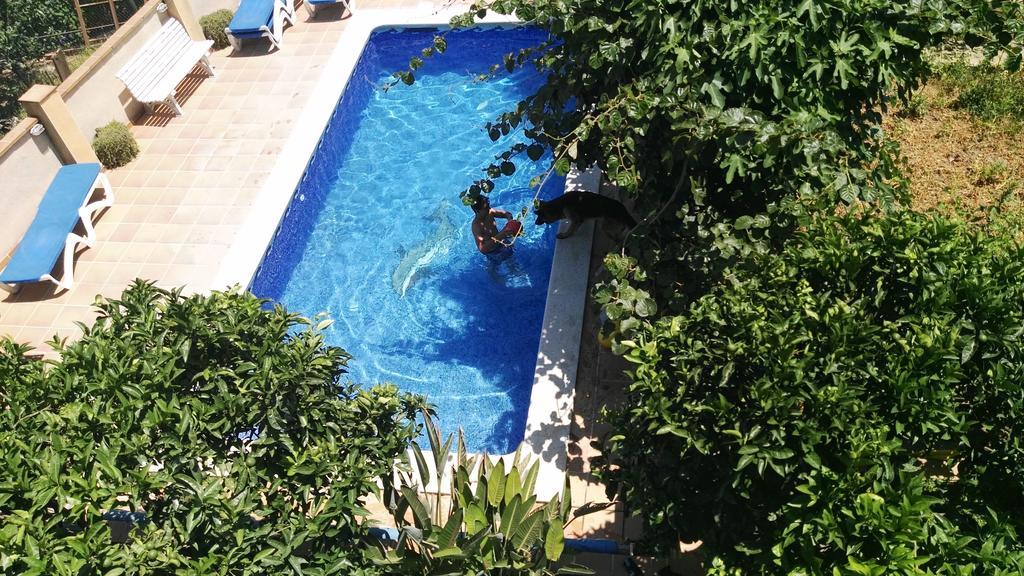 Apartamento Mar Y Montana Appartement